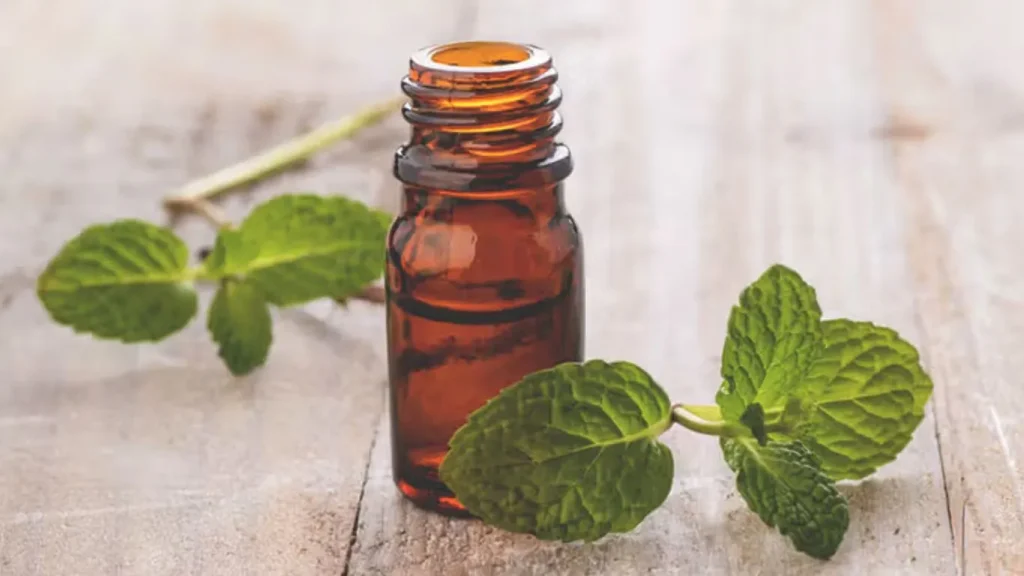 How to Make Peppermint Oil Spray: DIY Guide for Natural Insect Repellent