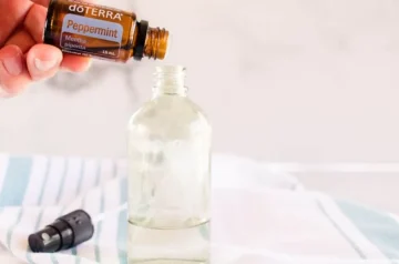 How to Make Peppermint Oil Spray A DIY Guide and Benefits