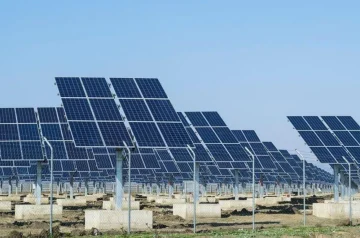 Comprehensive Guide on How to Start a Solar Farm