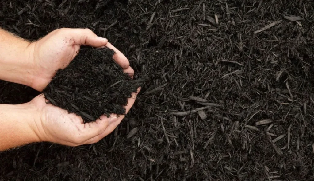 Innovative Ways to Repurpose Old Mulch: Tips for Gardening, Composting, and More