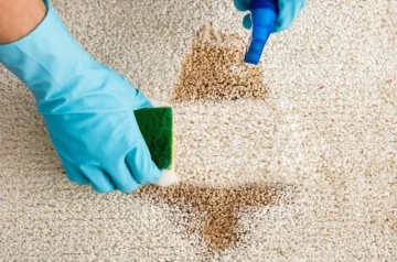 How to Clean a Spill on Carpet Quickly and Effectively