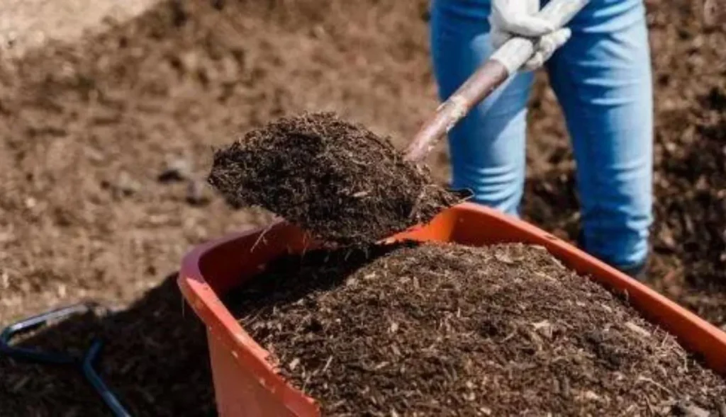 The Ultimate Guide to Disposing of Old Mulch: Eco-Friendly Methods and Tips