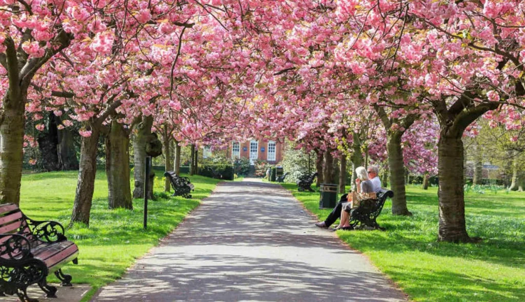 What Is Considered Late Spring? Understanding Timing, Weather, and Activities