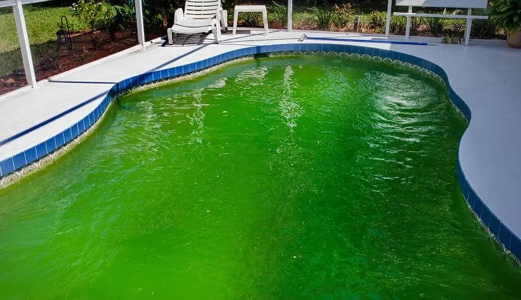 Why Is My Pool Turning Green? Causes, Solutions, and Prevention Tips