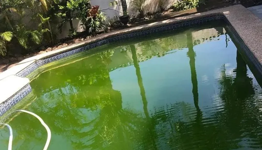 Why Is My Pool Turning Green? Causes, Solutions, and Prevention Tips