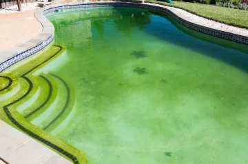 Why Is My Pool Turning Green? Causes, Solutions, and Prevention Tips