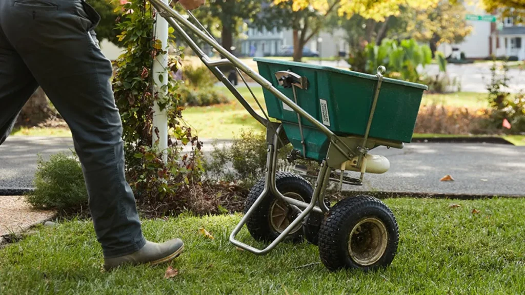  What Does Potassium Do for Lawns? Unlocking the Secrets to a Thriving Yard