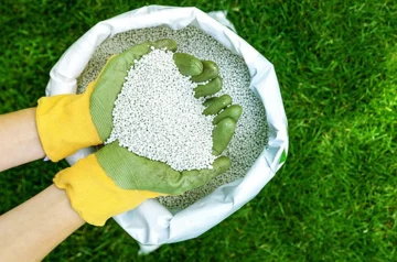 What Does Potassium Do for Lawns? Unlocking the Key to a Healthy, Vibrant Yard