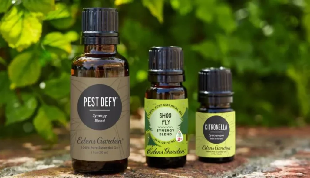 Effective Essential Oils to Repel Gnats Naturally