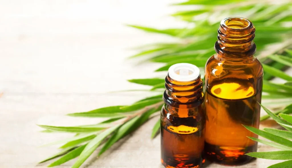 Effective Essential Oils to Repel Gnats Naturally