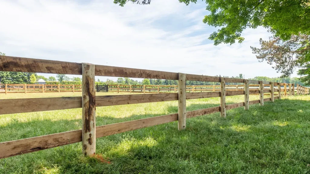  How to Build a Durable Cattle Fence: A Comprehensive Step-by-Step Guide